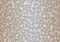 Shaded Backgrounds - Frosty Fingers - Peaches and Cream
