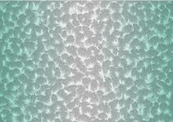Shaded Backgrounds - Frosty Fingers - Mint Julep