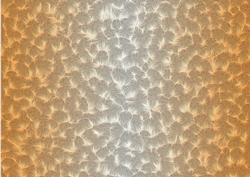 Shaded Backgrounds - Frosty Fingers - Mango Sorbet
