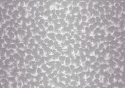Shaded Backgrounds - Frosty Fingers - Dove Grey