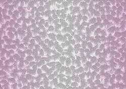 Shaded Backgrounds - Frosty Fingers - Baby Pink