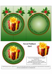 Christmas Parcel - Green