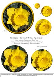 Circular Easy-position Pyramid - Daffodil