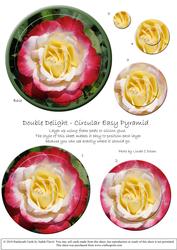 Circular Easy-position Pyramid - Rosa Double Delight