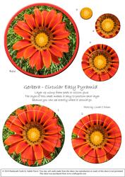 Circular Easy-position Pyramid - Gerbera