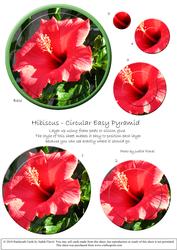 Circular Easy-position Pyramid - Hibiscus