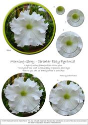 Circular Easy-position Pyramid - Morning Glory
