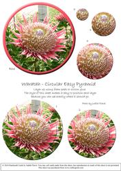 Circular Easy-position Pyramid - Waratah