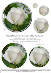 Circular Easy-position Pyramid - White Rosebud