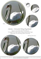 Circular Easy-position Pyramid - Swan
