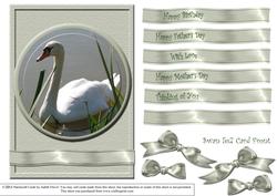 Swan with Oyster Ribbons