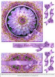 Lilac Dahlia B - Mothers Day
