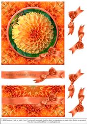 Orange Dahlia B - Mothers Day