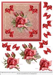 Pink Roses & Lace 1