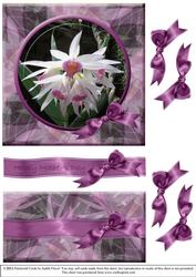Orchid a - Mothers Day