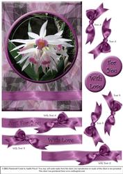 Orchid B - with Love