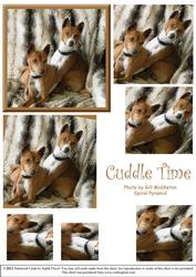 Cuddle Time - Spiral Pyramid