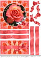 Rose Blush