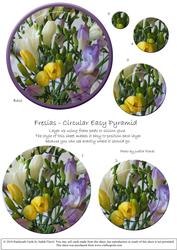 Circular Easy-position Pyramid - Fresias