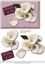 Lilies Card Front Plus 3D - Thinking of You