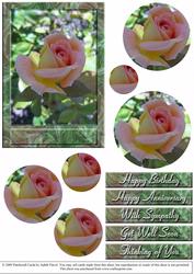 Rose Circular Pyramid