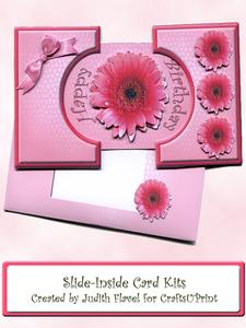 Slide-inside Pink Gerbera