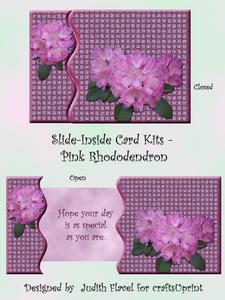 Slide-inside Pink Rhododendron