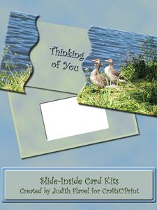Slide-inside Goosey-goosey