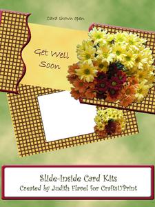 Slide-inside Chrysanthemums