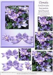 Clematis - Spiral Pyramid