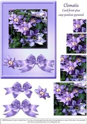 Clematis - Easy Pyramid