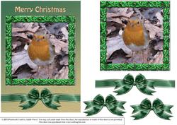 Christmas Robin with Holly Frame 1