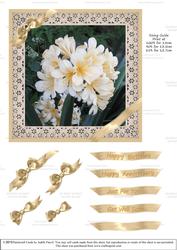 Ribbons and Lace - Lilies