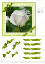 Ribbons and Lace - White Rose