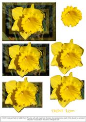 Daffodil Daze