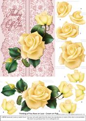 Roses on Lace - Cream on Pink - Thinking of You