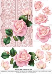 Roses on Lace - Pale Pink on Pink
