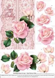 Roses on Lace - Pale Pink on Pink - Birthday