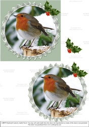 Christmas Robin #1