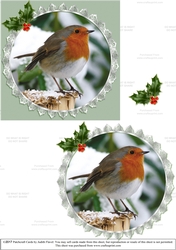 Christmas Robin #2
