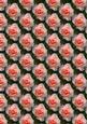 Hearts and Roses - Background