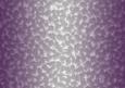 Shaded Backgrounds - Frosty Fingers - Plum