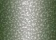 Shaded Backgrounds - Frosty Fingers - Fern