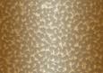 Shaded Backgrounds - Frosty Fingers - Cafe Latte