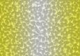 Shaded Backgrounds - Frosty Fingers - Sunshine Yellow