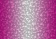 Shaded Backgrounds - Frosty Fingers - Shocking Pink