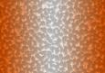Shaded Backgrounds - Frosty Fingers - Florida Orange