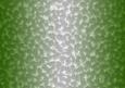 Shaded Backgrounds - Frosty Fingers - Christmas Green