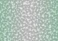 Shaded Backgrounds - Frosty Fingers - Peppermint