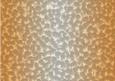 Shaded Backgrounds - Frosty Fingers - Mango Sorbet